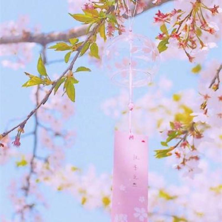 菱川直树 - 弹幕视频网站在线观看 - 在线观看直播